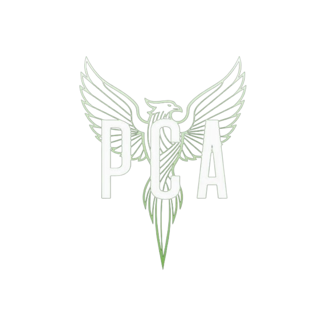 pca (1)